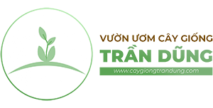 Logo trang chủ